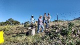Volunteers helping with weed pull 2017 - Robin Rosenberg
